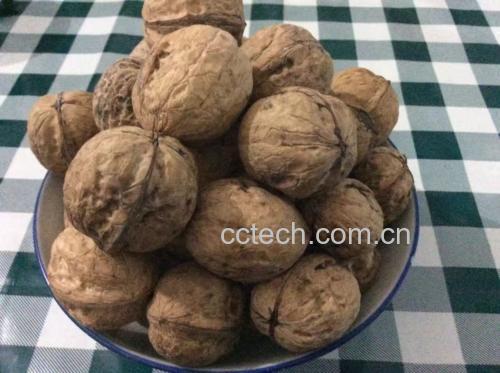 核桃皮与鸡蛋的搭配图