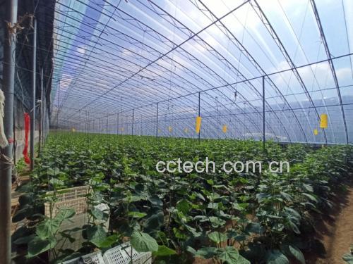 黄瓜种植管理图示