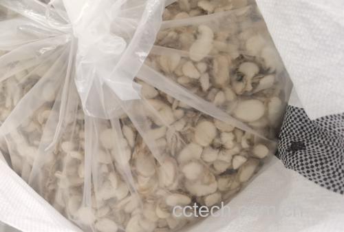 平贝母与浙贝母的现代研究应用场景