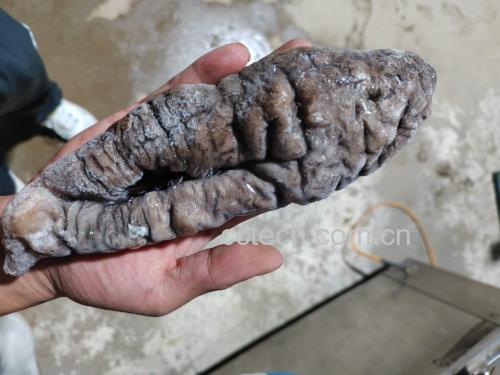 高丽参炖乌鸡的成品图