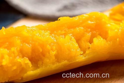阿根廷奶油南瓜切面图