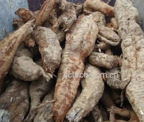 黑玛卡根茎与打粉成品对比图