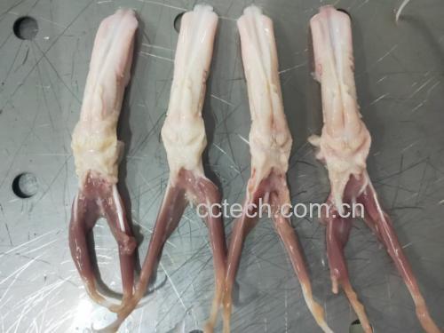 香芋头与鸭肉原材料