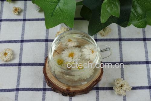 子姜菊花茶成品展示