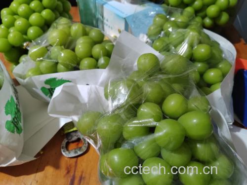 阳光玫瑰无籽葡萄在冰箱中冷藏的摆放示意图