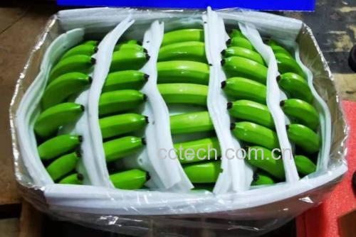 青提香蕉牛奶成品图