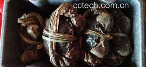 白萝卜螃蟹汤的烹饪过程