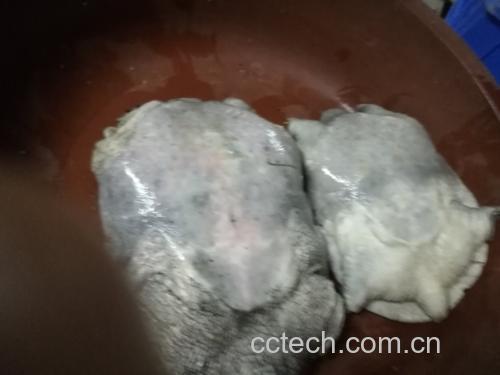 甲鱼炖独头蒜炖煮过程