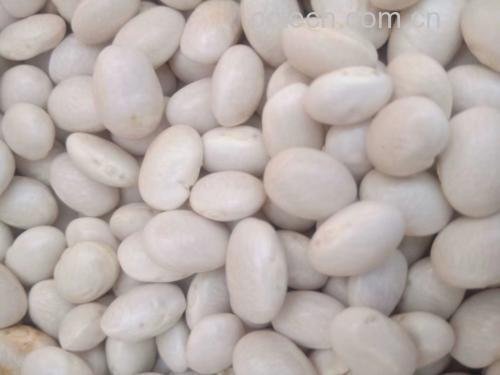 白扁豆烹饪图