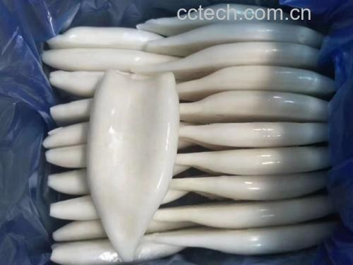 鱿鱼与哈密瓜食材特写