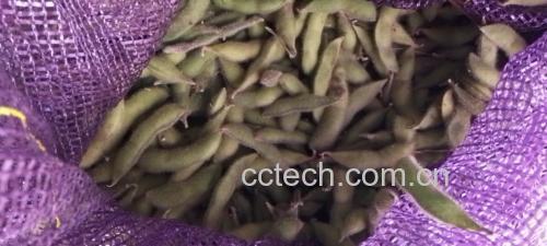 毛豆营养成分展示图