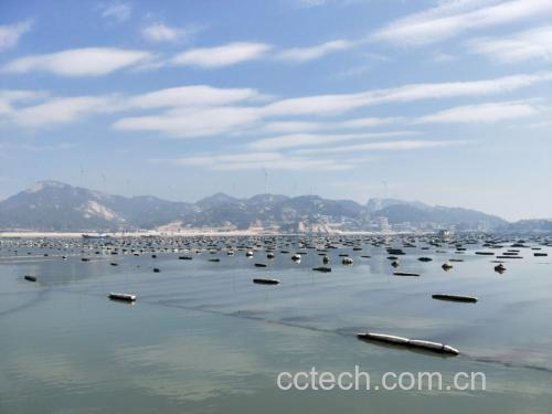 长白山海域的风能驱动海带养殖场景