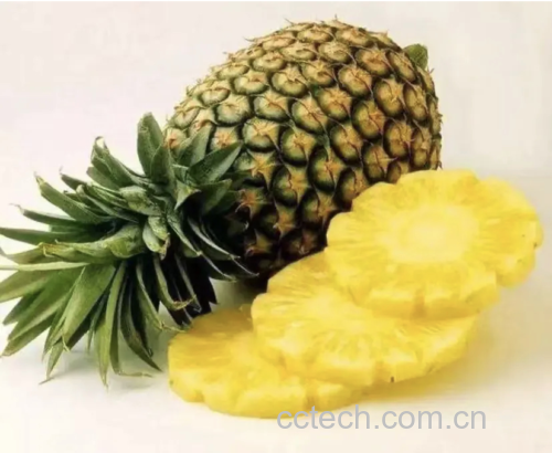 新鲜菠萝果肉与营养成分表