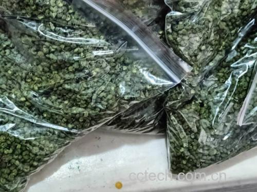 焯水后的花椒嫩芽