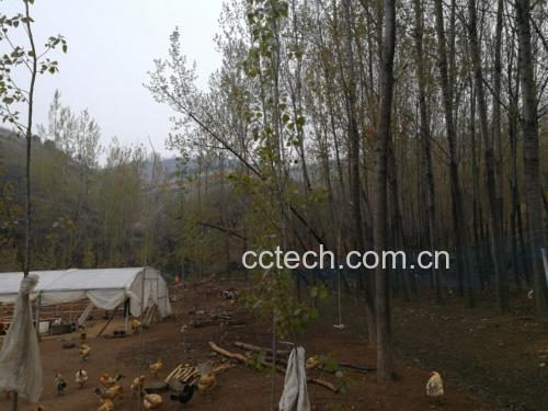 不同饲养方式下鸡蛋体积对比图
