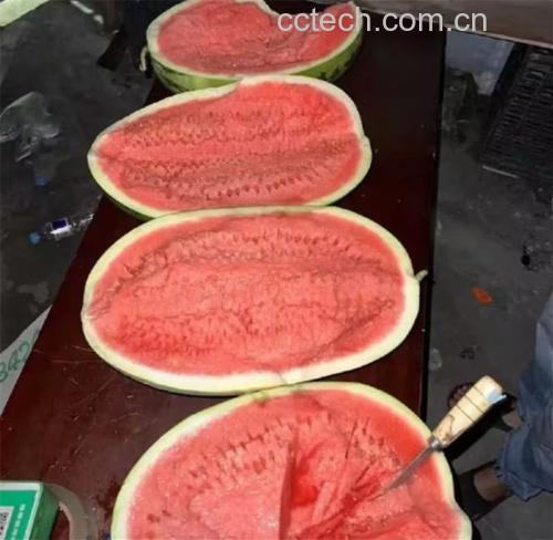 白里透红西瓜制作的沙拉