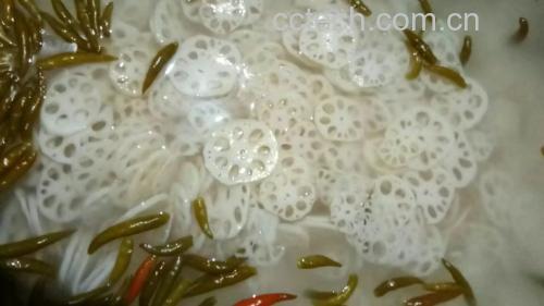 青萝卜凉拌做法图