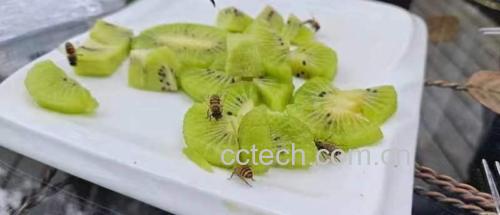 成品空气炸锅蜂蜜南瓜摆盘图