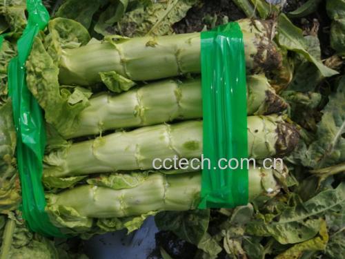 莴笋叶可能引发过敏反应