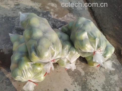 蜜柚与依能蜜柚水的搭配展示