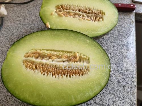 香瓜与羊角蜜甜瓜并列展示