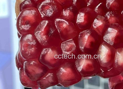突尼斯软籽石榴的果实特写