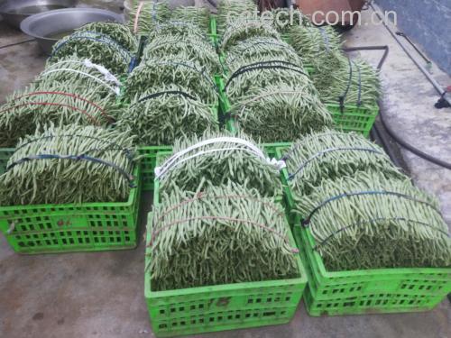 无筋豆厨房烹饪场景