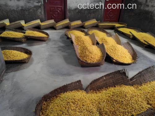 白扁豆豆浆加热煮沸过程