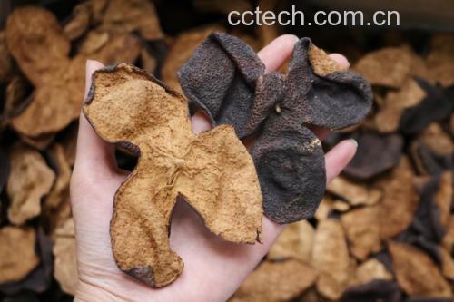 白芷与陈皮实物对比图