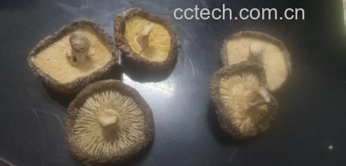 干香菇实物图