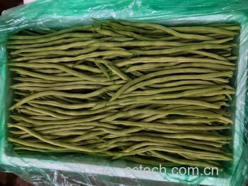 大豆棉被的正确收纳方式