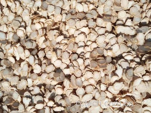 人参年份对比图