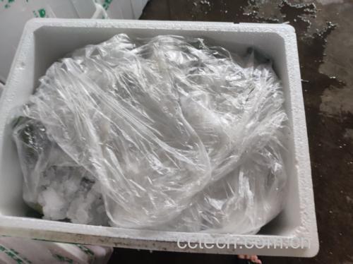西兰花放入冰箱冷藏