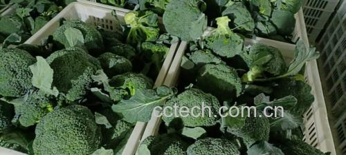 西兰花根茎炒制成品图