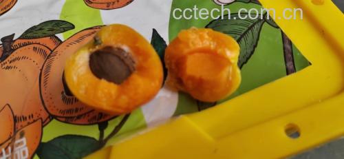 橙子白色的丝特写