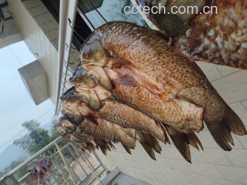 胚胎移植后女性在厨房准备食材