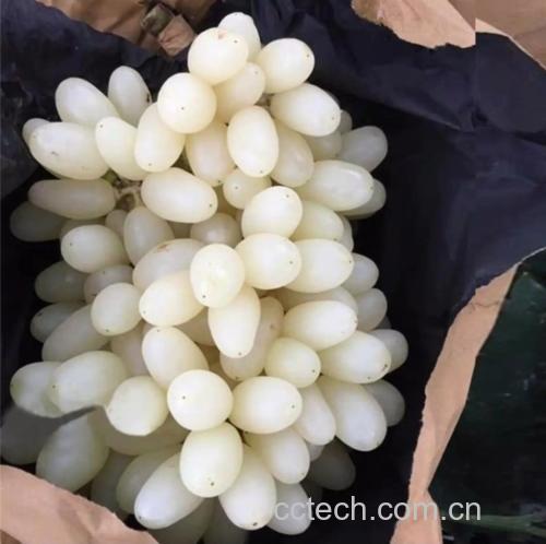 江小白白葡萄果酒冰沙成品图