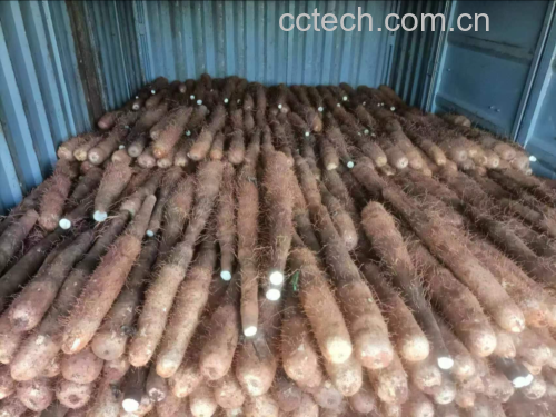 冷冻山药在冰箱中的存放示意图