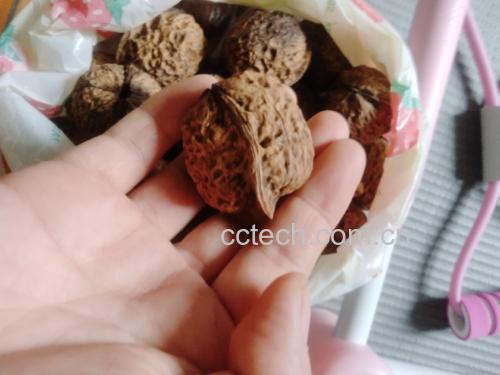 青皮核桃手感检测图示
