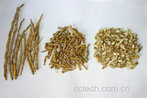 浙贝母与平贝母的植物形态对比图