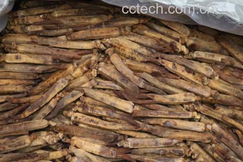 高丽参豆浆炖鸡汤的制作过程