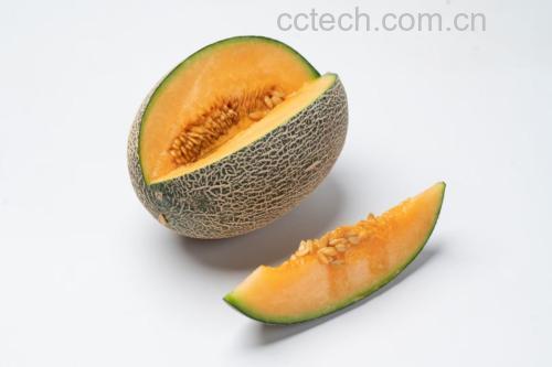 新鲜西州蜜瓜