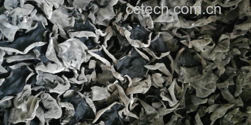 秋木耳炖鸡成品图