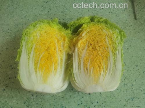 挑选与处理红菜心
