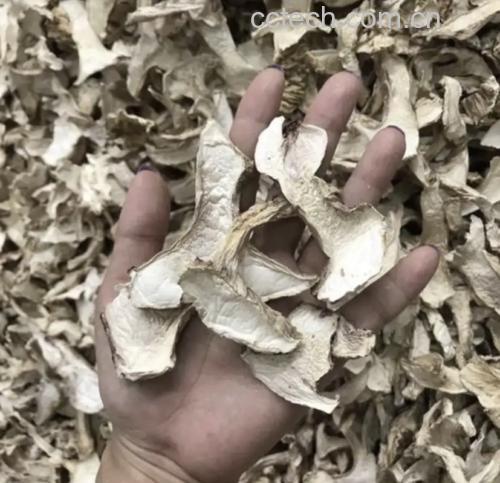 松茸去沙清洗过程