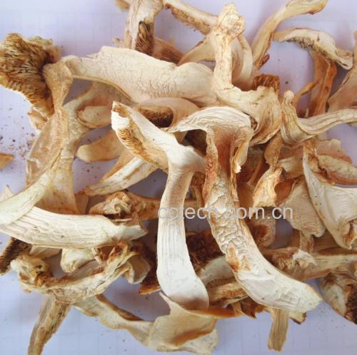 松茸与辽参食材图
