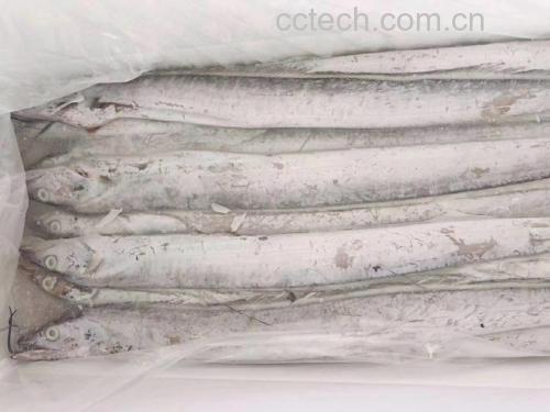 一位医生与患者在诊室讨论饮食调理方案