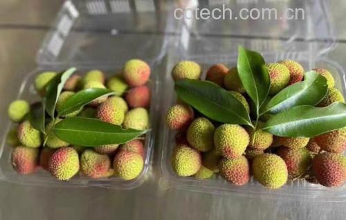 荔枝与健康饮食组合图