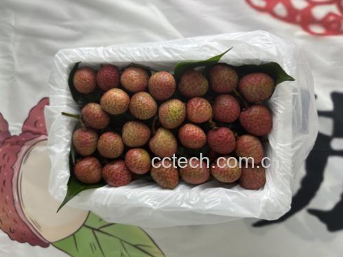荔枝正确储存方法