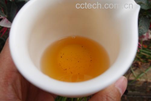 柠檬茶特写